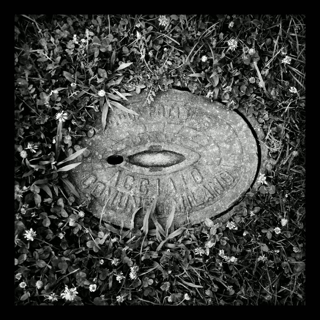 Black and white view from above of a cast-iron manhole cover set in flowering grass