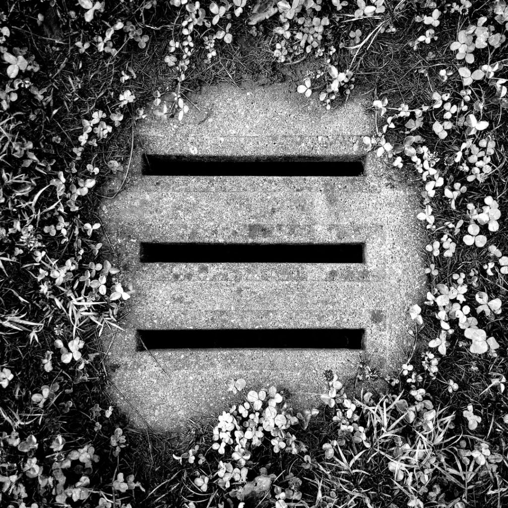 Black and white view from above of an oval drainage grate with three slots, surrounded by grass and small flowers